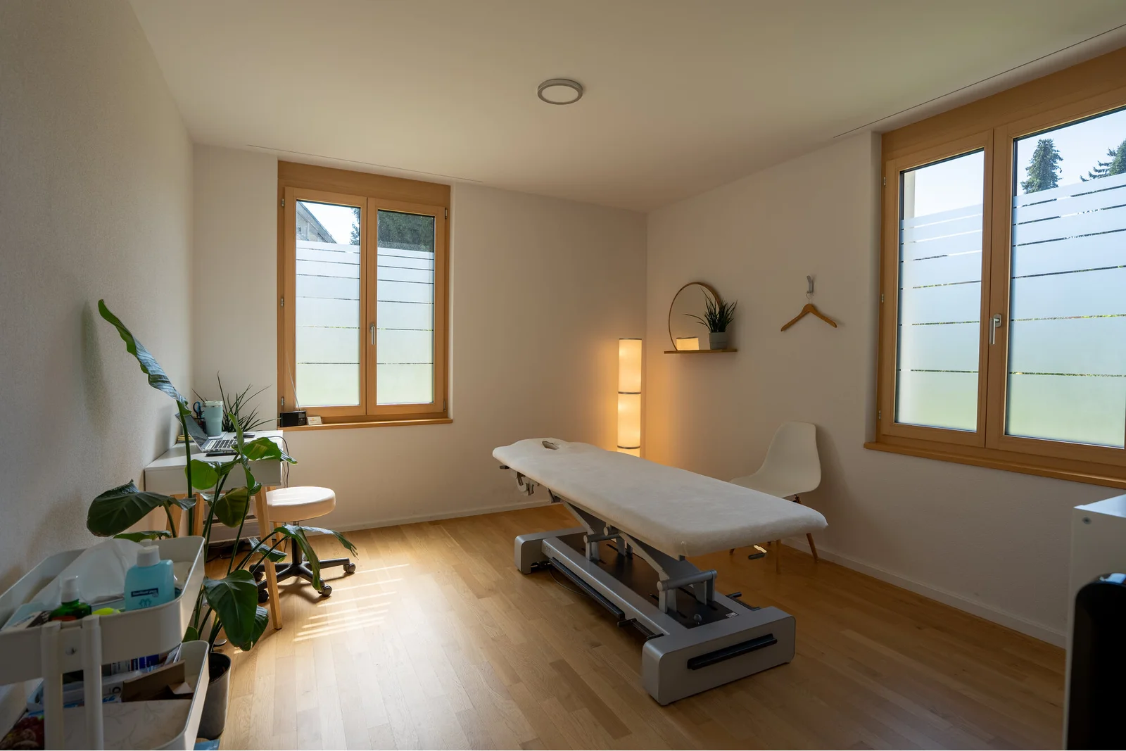 Heller Behandlungsraum der Physiotherapie in Möhlin mit Liege und Blick ins Grüne.